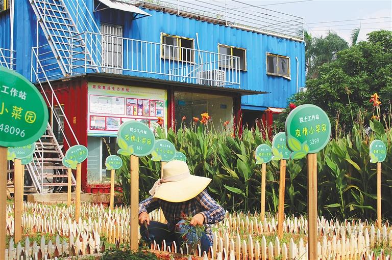 海垦科学院院士工作站与科研团队共同打造庭