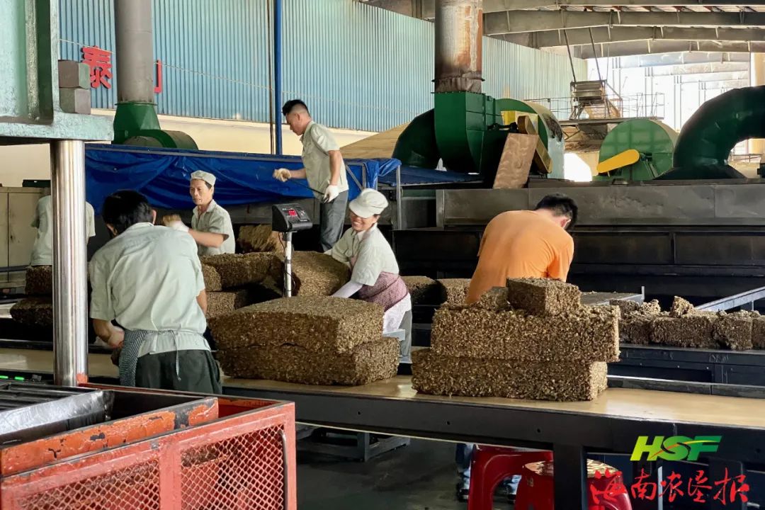 海南橡胶金橡公司着力提升企业经营效益